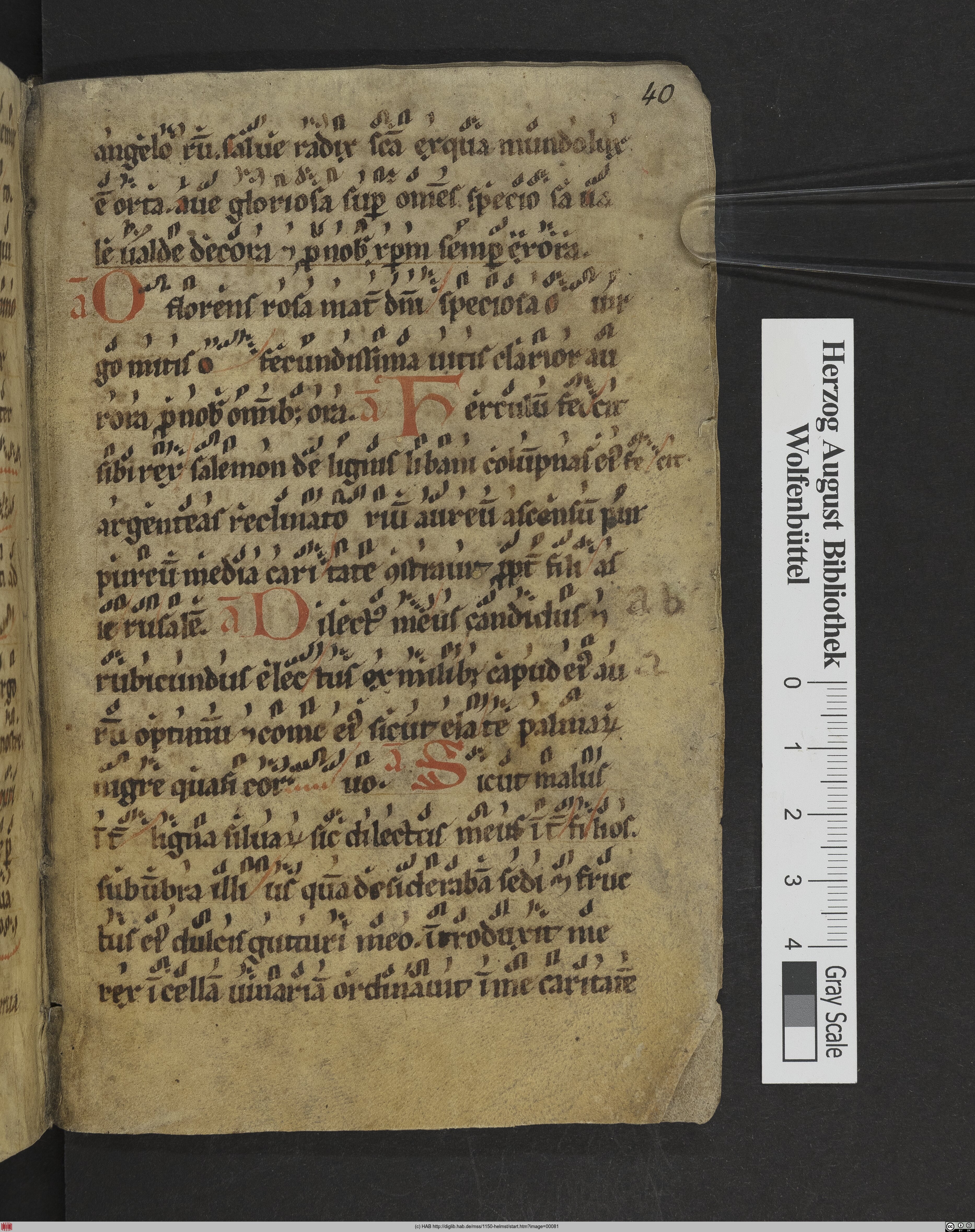 http://diglib.hab.de/mss/1150-helmst/max/00081.jpg