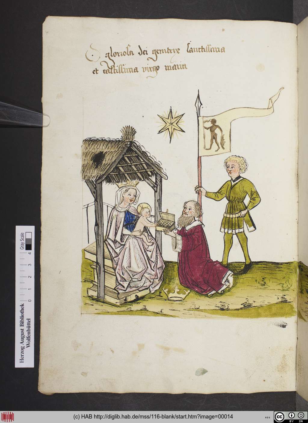 http://diglib.hab.de/mss/116-blank/00014.jpg