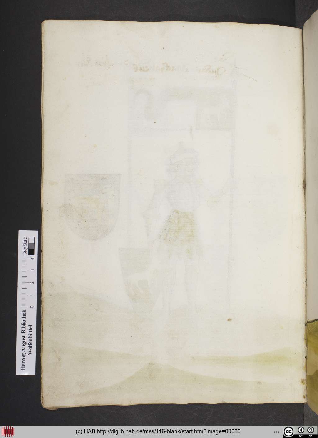 http://diglib.hab.de/mss/116-blank/00030.jpg