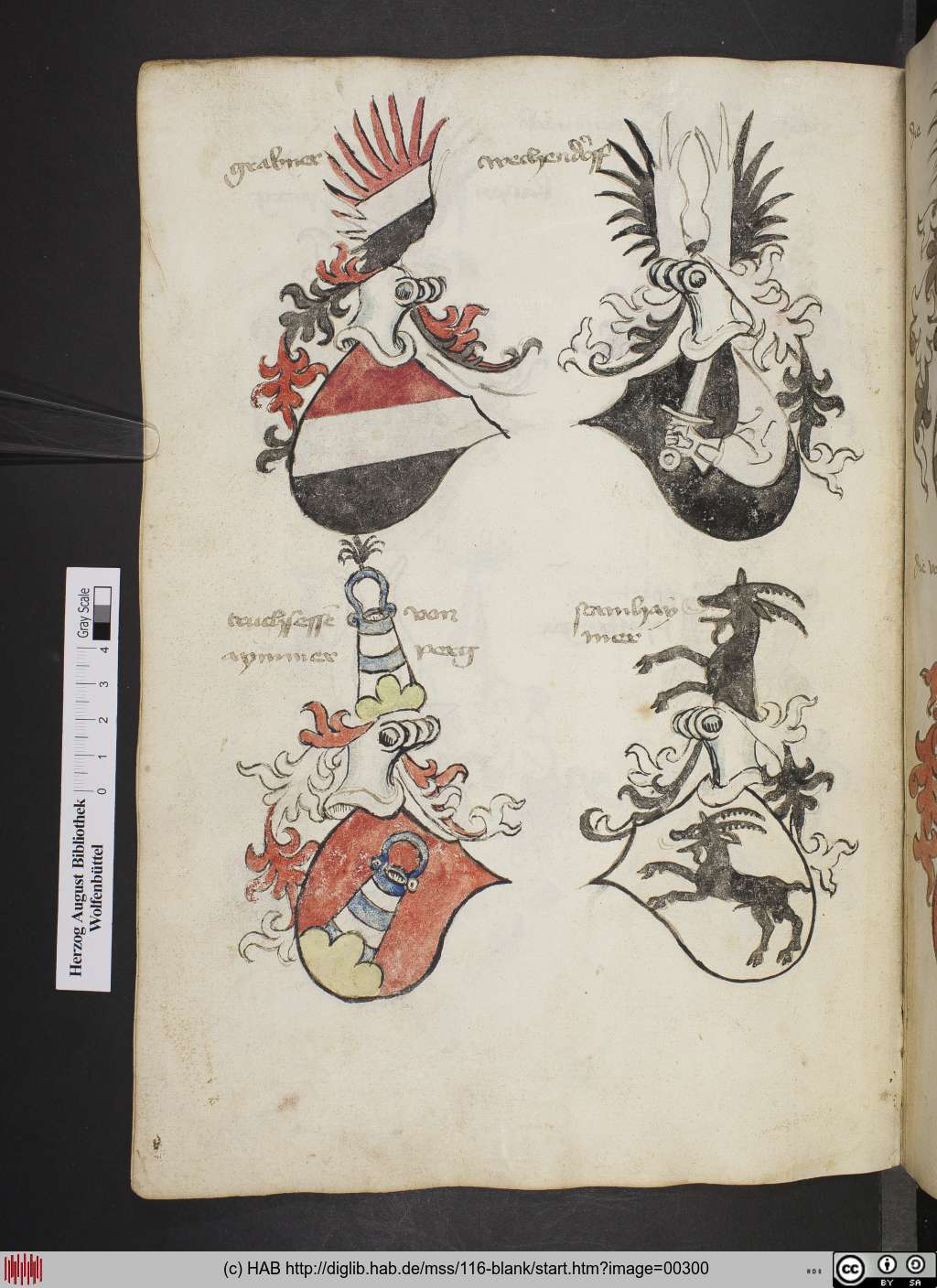 http://diglib.hab.de/mss/116-blank/00300.jpg
