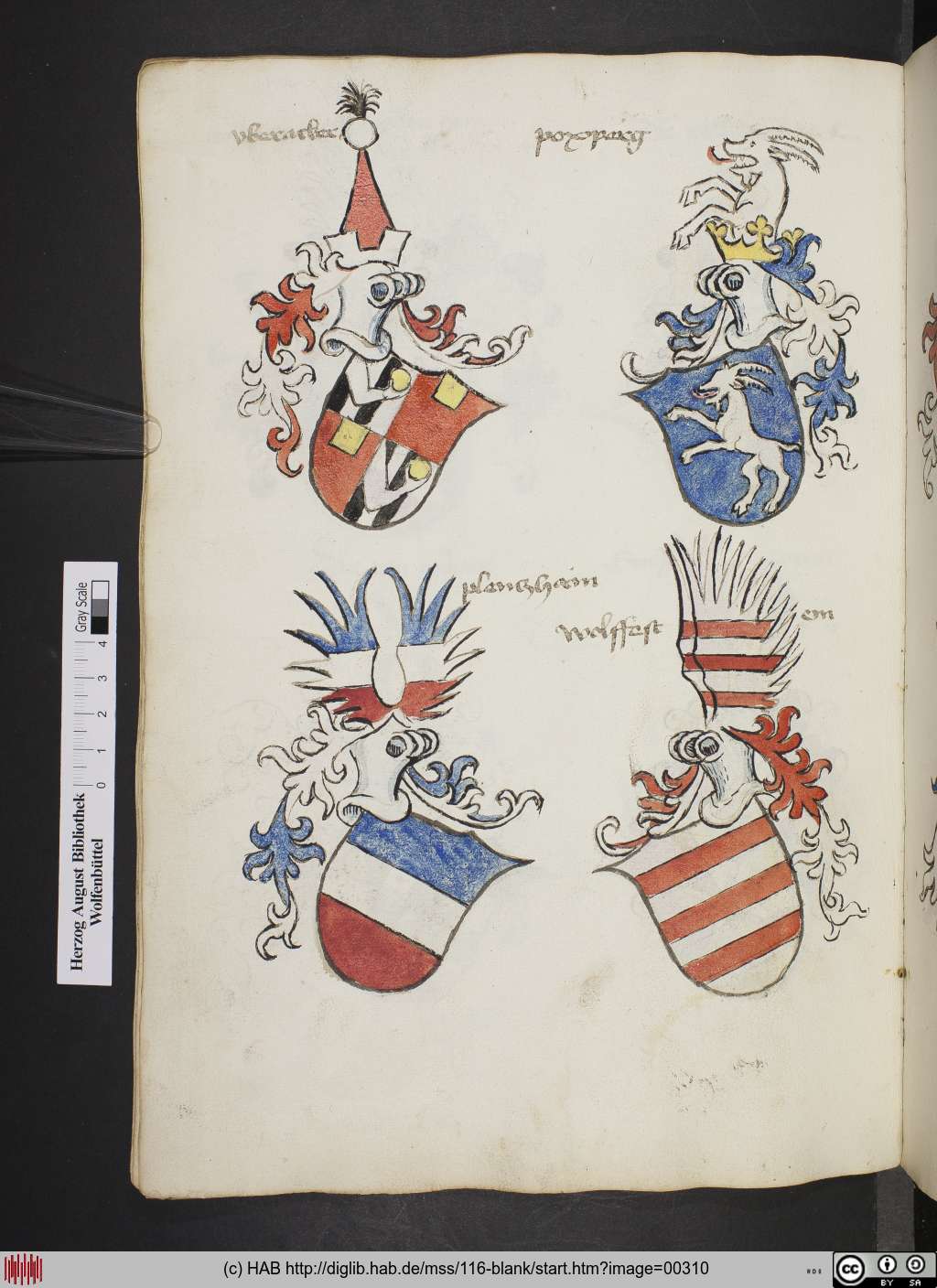 http://diglib.hab.de/mss/116-blank/00310.jpg