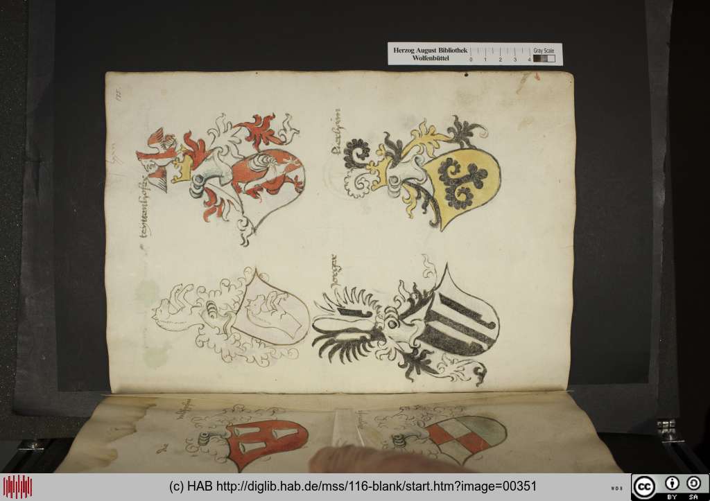 http://diglib.hab.de/mss/116-blank/00351.jpg
