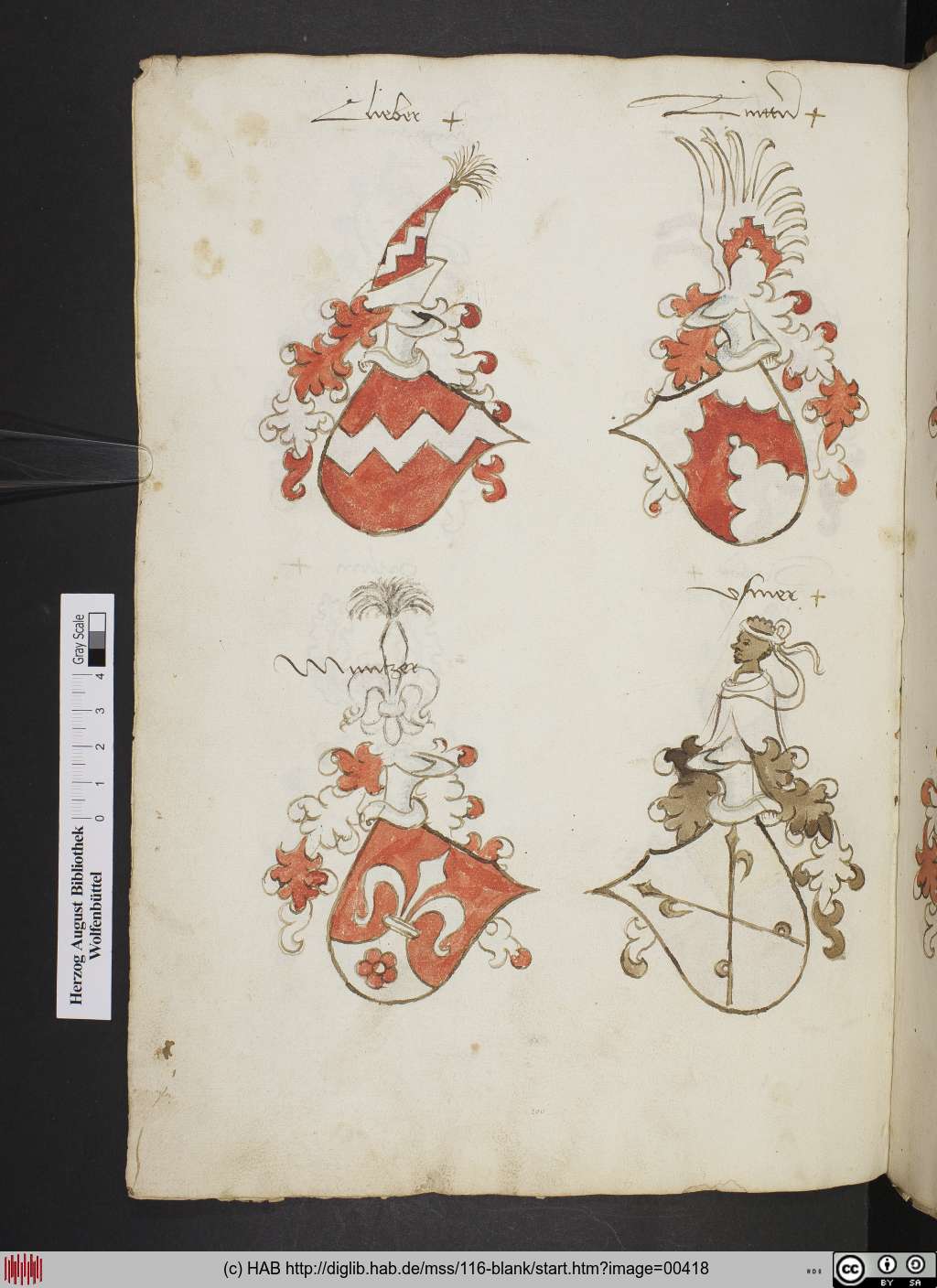 http://diglib.hab.de/mss/116-blank/00418.jpg