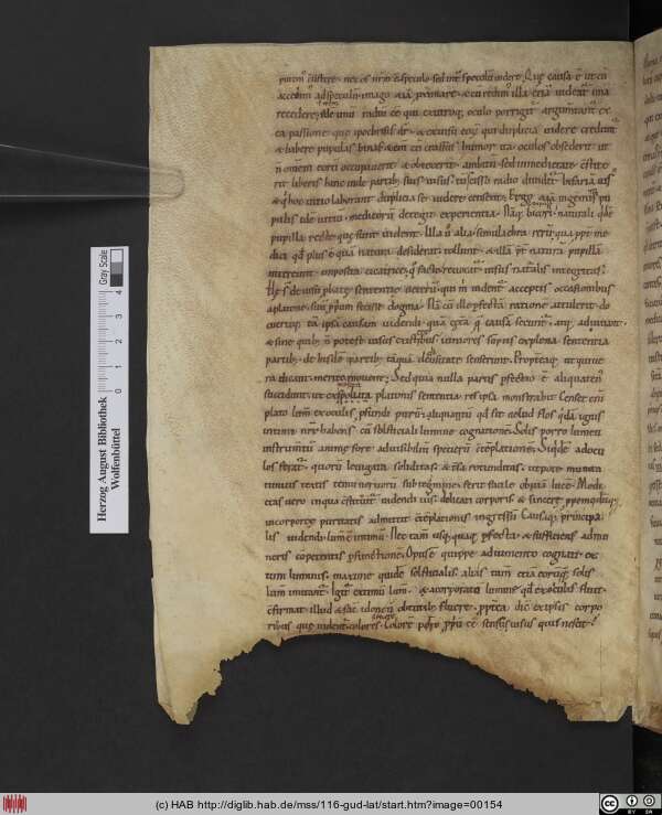 http://diglib.hab.de/mss/116-gud-lat/min/00154.jpg
