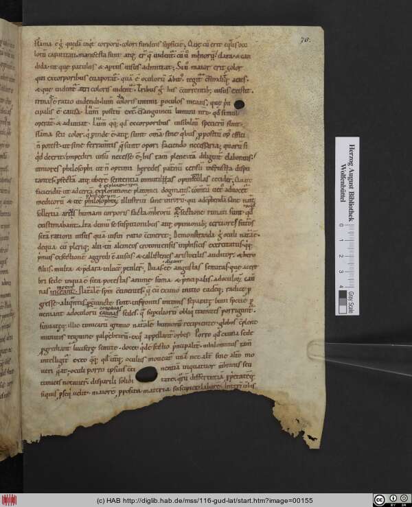 http://diglib.hab.de/mss/116-gud-lat/min/00155.jpg