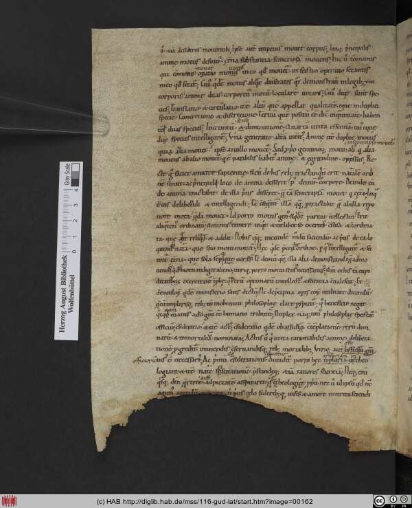 http://diglib.hab.de/mss/116-gud-lat/min/00162.jpg