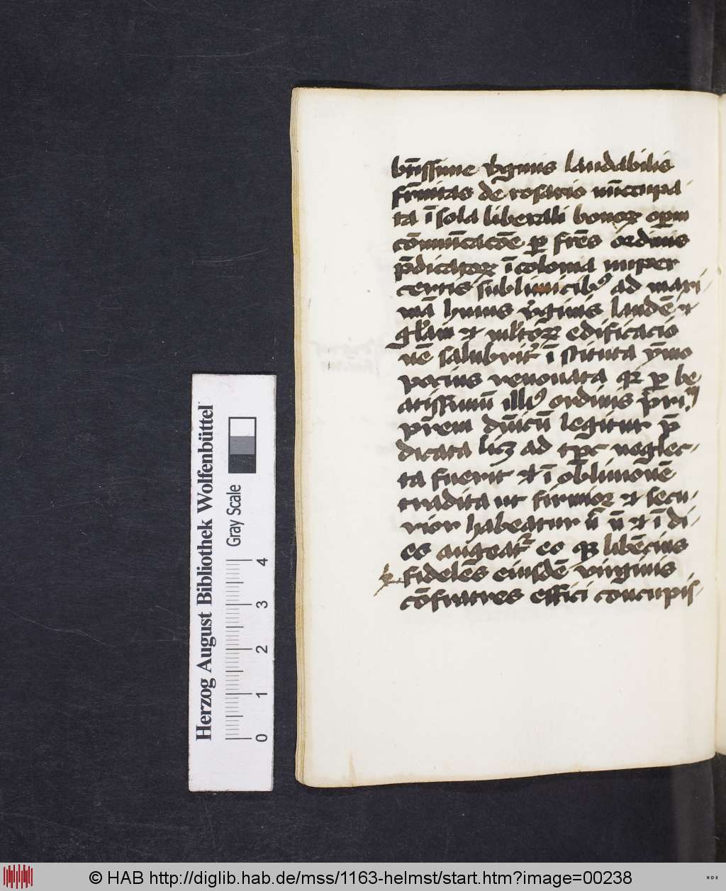 http://diglib.hab.de/mss/1163-helmst/00238.jpg