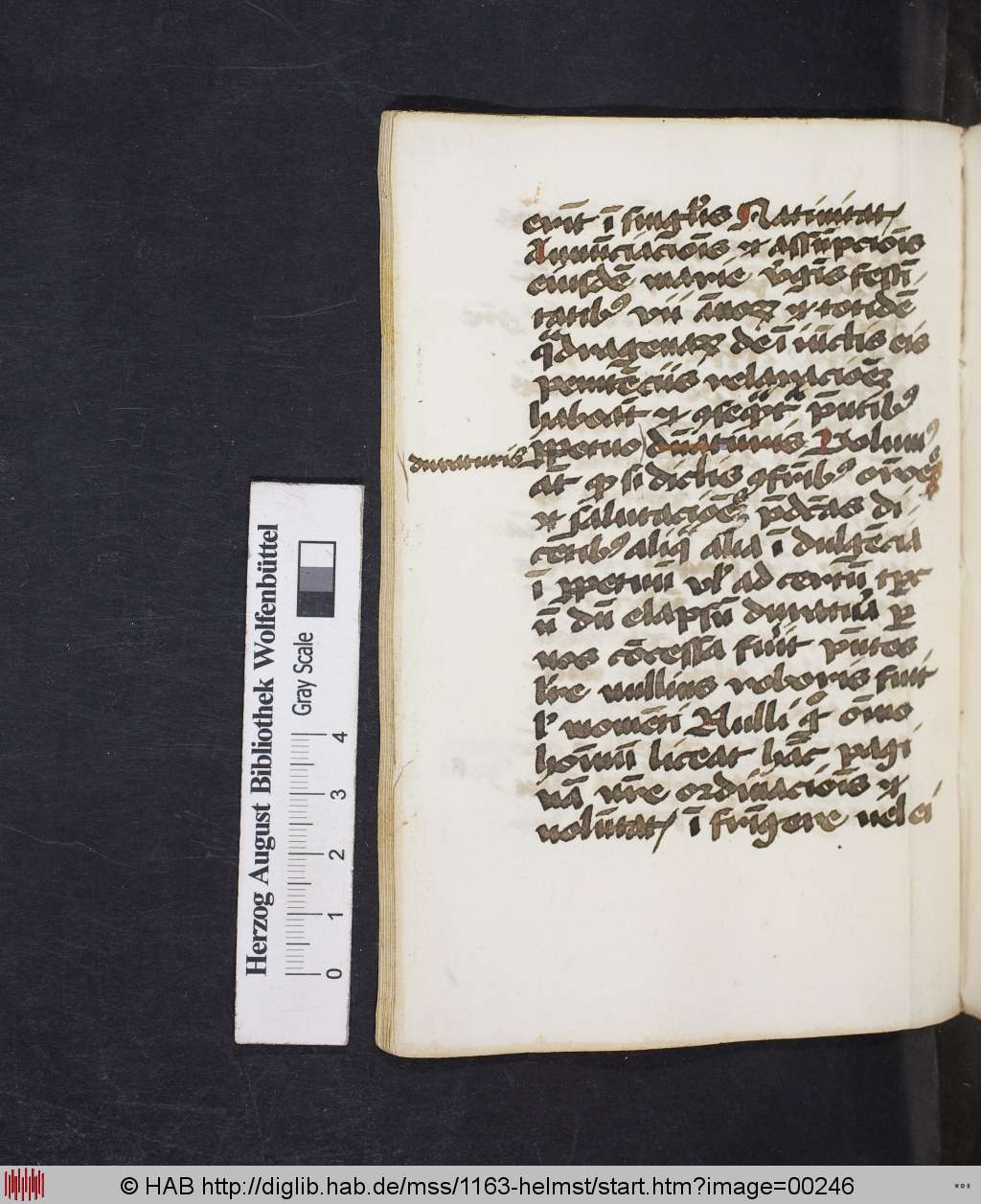 http://diglib.hab.de/mss/1163-helmst/00246.jpg