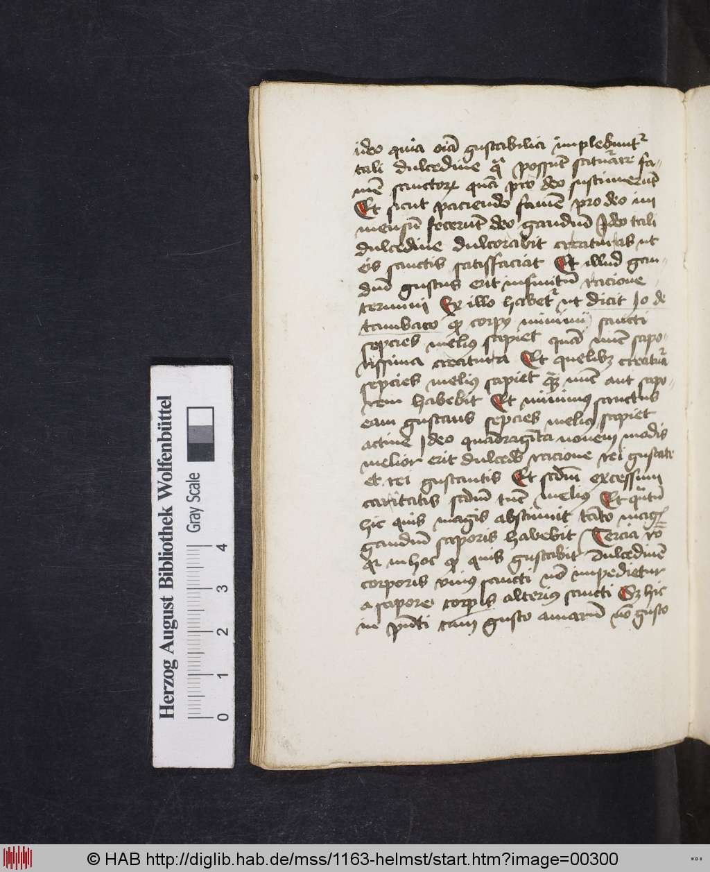 http://diglib.hab.de/mss/1163-helmst/00300.jpg