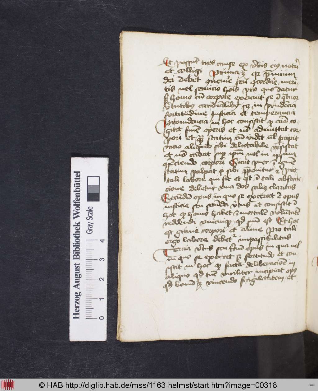 http://diglib.hab.de/mss/1163-helmst/00318.jpg