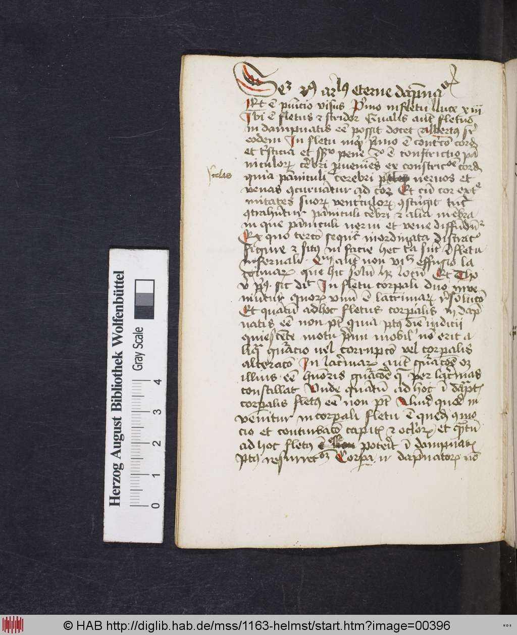 http://diglib.hab.de/mss/1163-helmst/00396.jpg