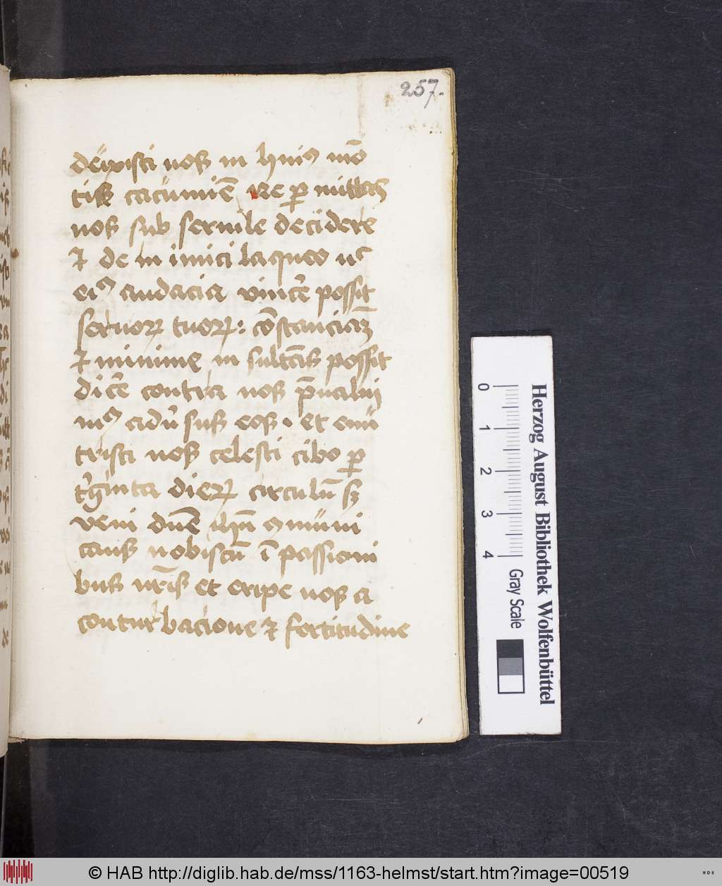 http://diglib.hab.de/mss/1163-helmst/00519.jpg