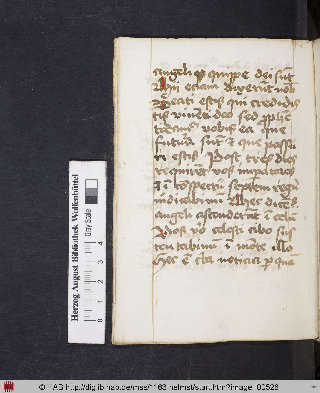 http://diglib.hab.de/mss/1163-helmst/00528.jpg