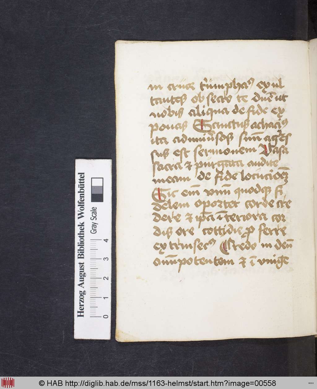 http://diglib.hab.de/mss/1163-helmst/00558.jpg