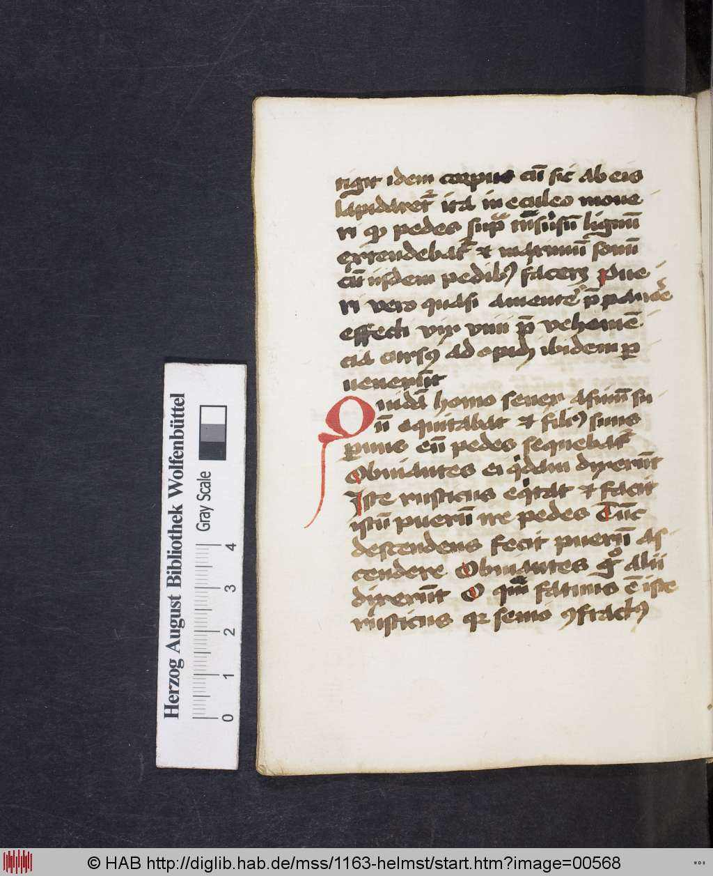 http://diglib.hab.de/mss/1163-helmst/00568.jpg