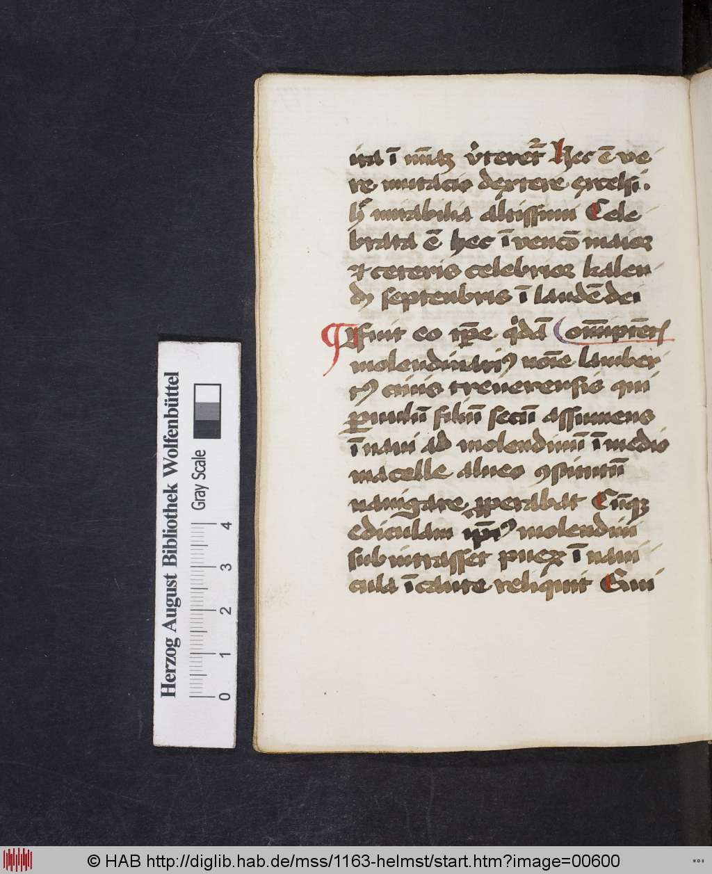 http://diglib.hab.de/mss/1163-helmst/00600.jpg