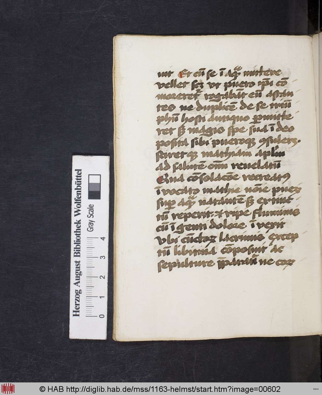 http://diglib.hab.de/mss/1163-helmst/00602.jpg