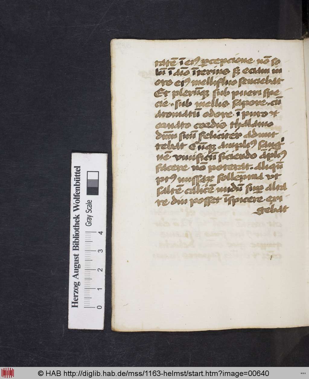 http://diglib.hab.de/mss/1163-helmst/00640.jpg