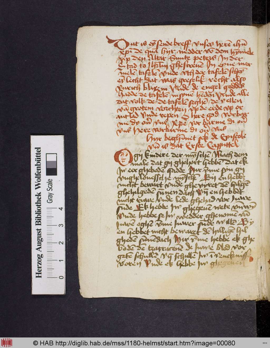 http://diglib.hab.de/mss/1180-helmst/00080.jpg