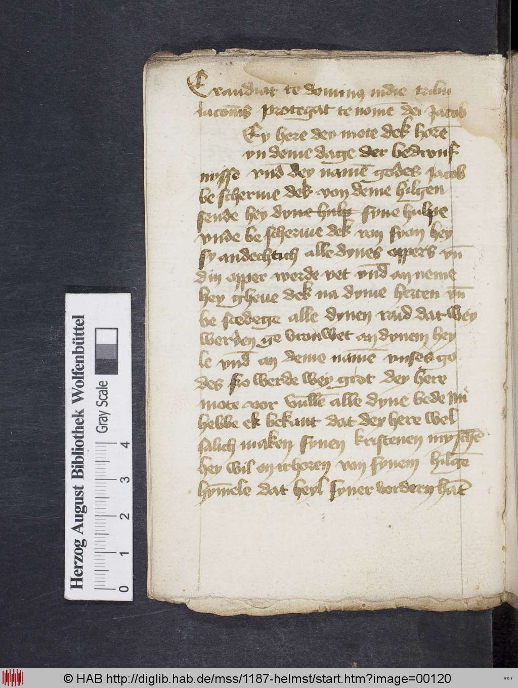 http://diglib.hab.de/mss/1187-helmst/00120.jpg
