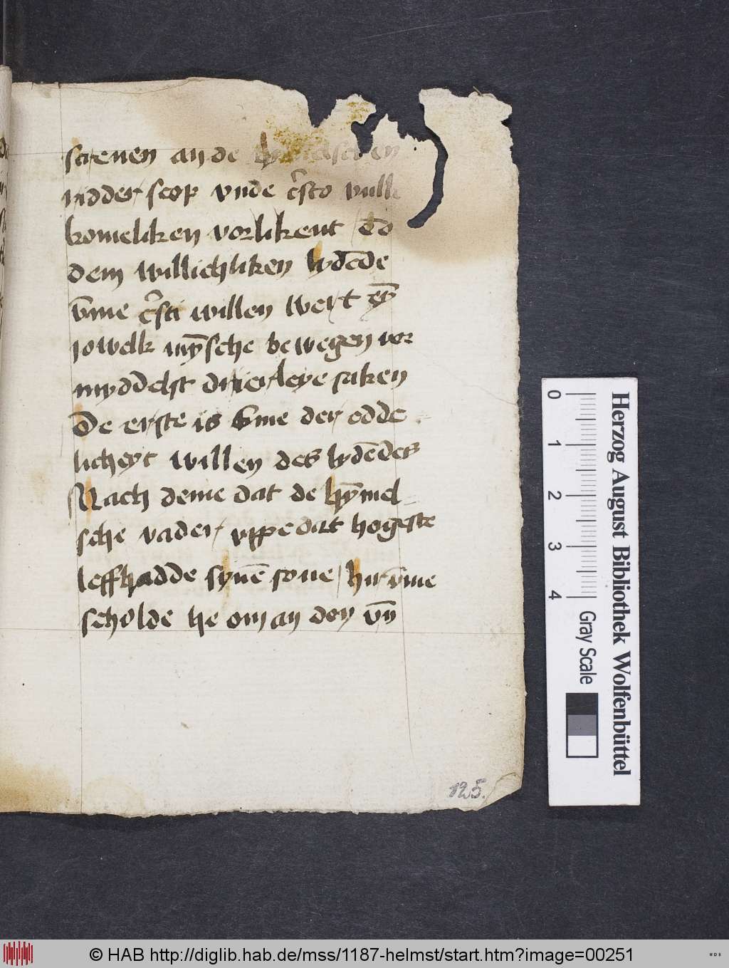 http://diglib.hab.de/mss/1187-helmst/00251.jpg