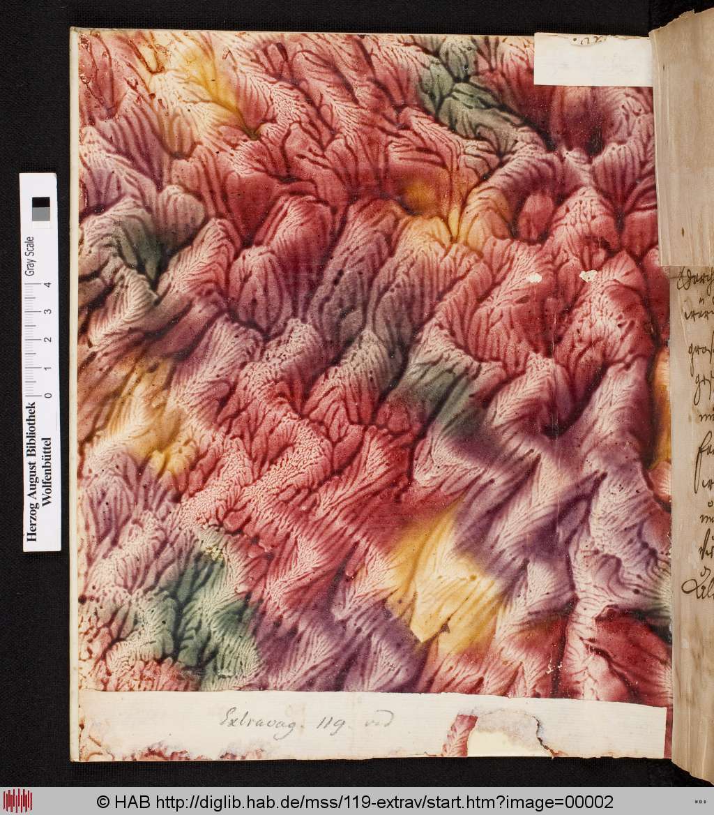 http://diglib.hab.de/mss/119-extrav/00002.jpg
