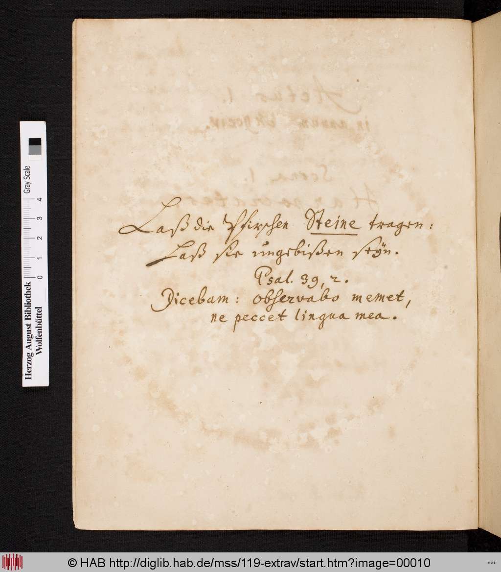 http://diglib.hab.de/mss/119-extrav/00010.jpg