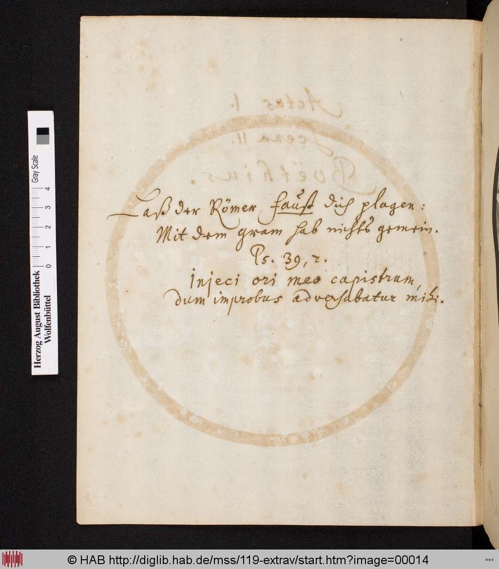 http://diglib.hab.de/mss/119-extrav/00014.jpg