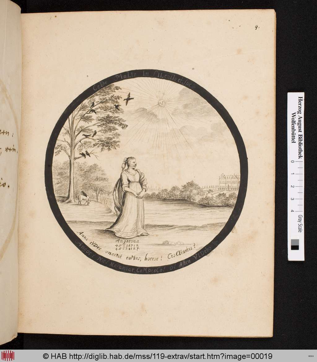 http://diglib.hab.de/mss/119-extrav/00019.jpg