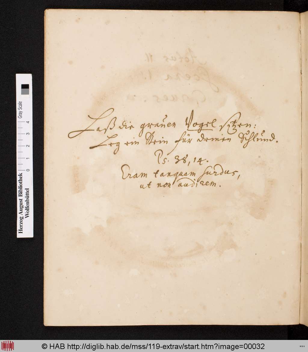 http://diglib.hab.de/mss/119-extrav/00032.jpg