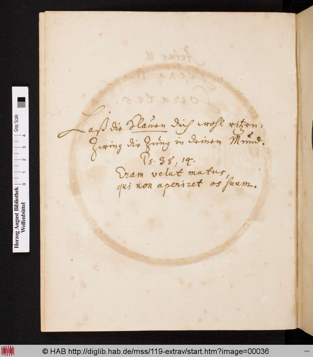 http://diglib.hab.de/mss/119-extrav/00036.jpg