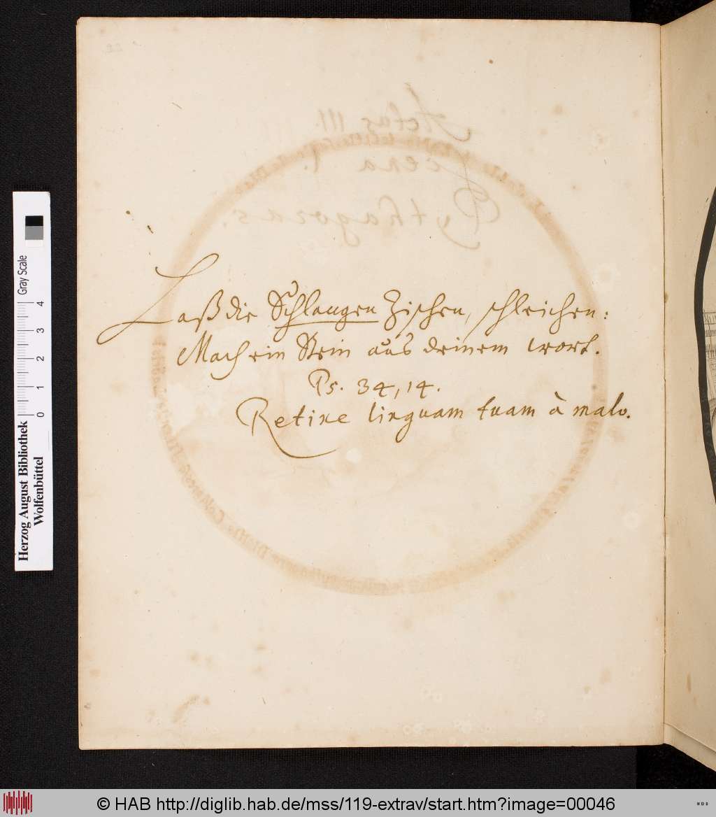 http://diglib.hab.de/mss/119-extrav/00046.jpg