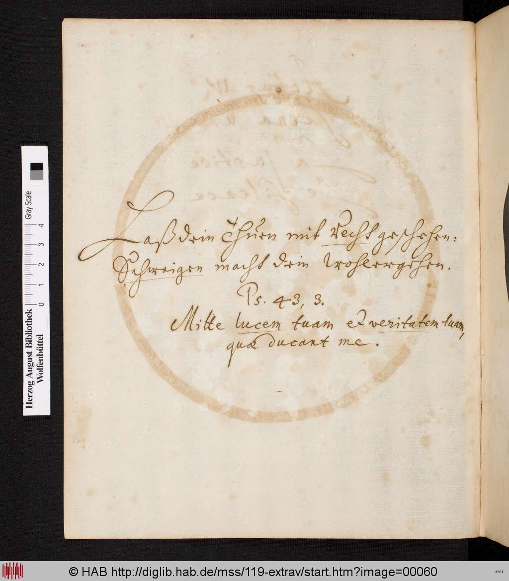 http://diglib.hab.de/mss/119-extrav/00060.jpg