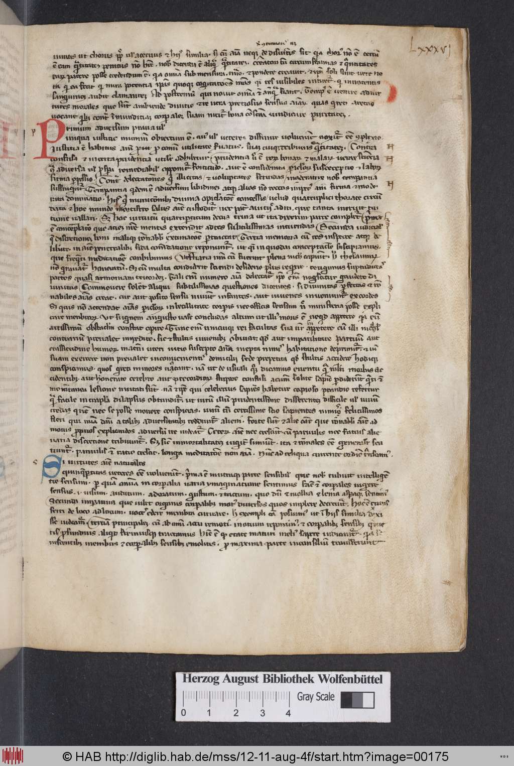 http://diglib.hab.de/mss/12-11-aug-4f/00175.jpg