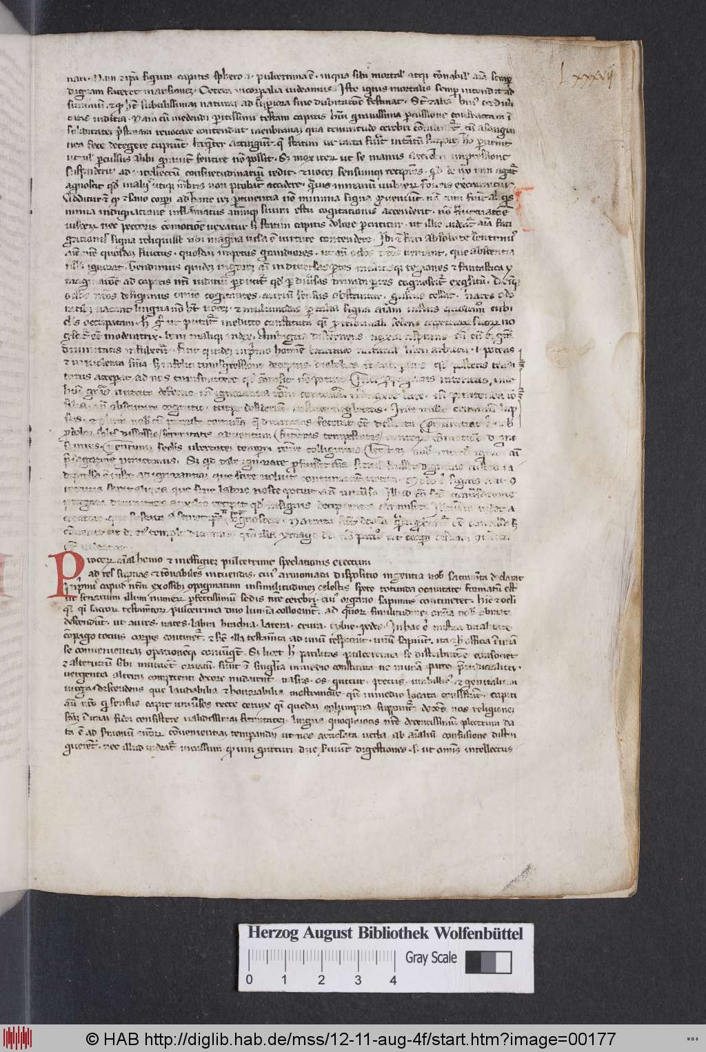 http://diglib.hab.de/mss/12-11-aug-4f/00177.jpg