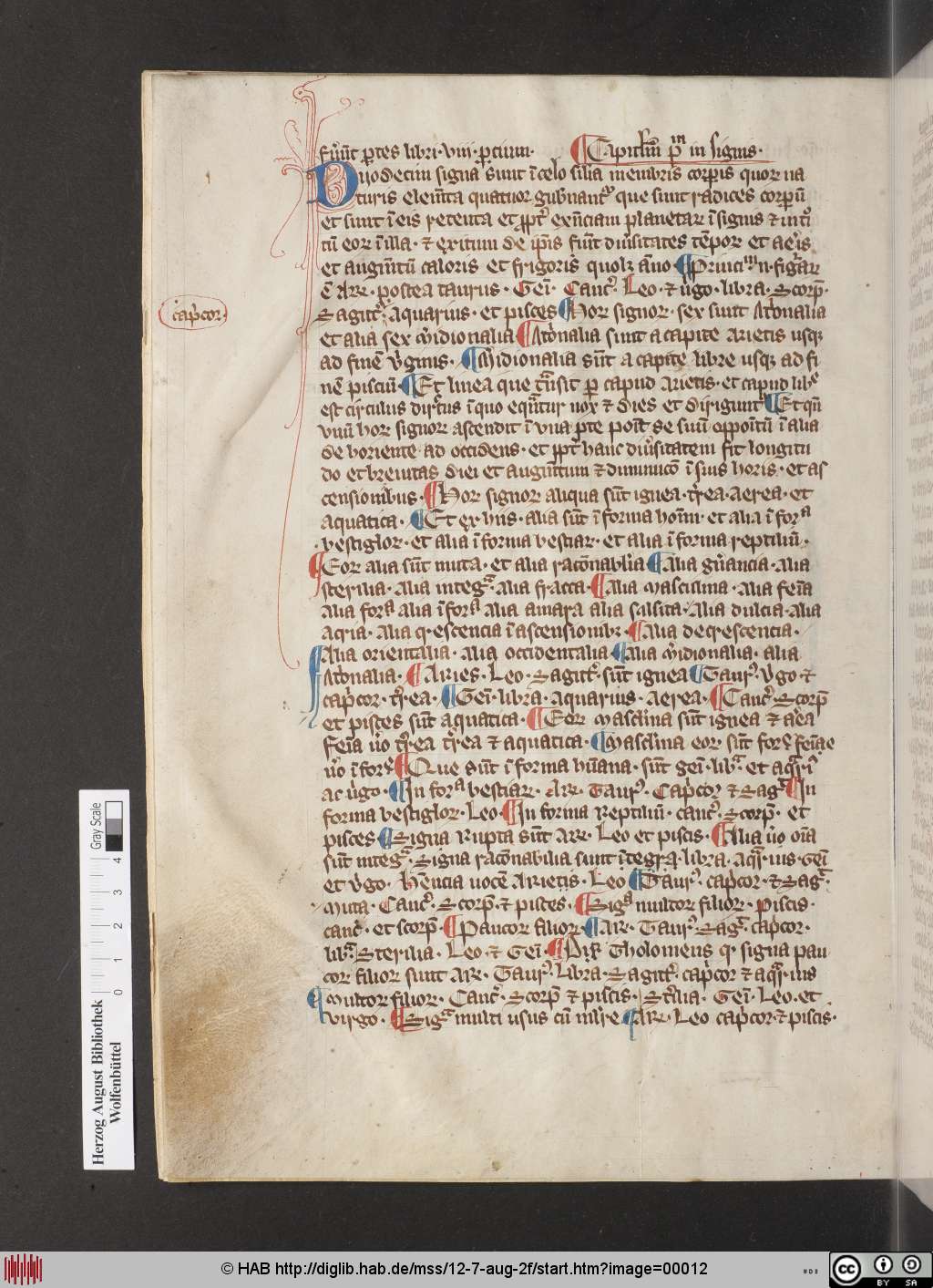 http://diglib.hab.de/mss/12-7-aug-2f/00012.jpg