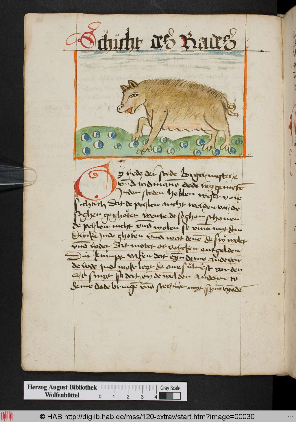 http://diglib.hab.de/mss/120-extrav/00030.jpg