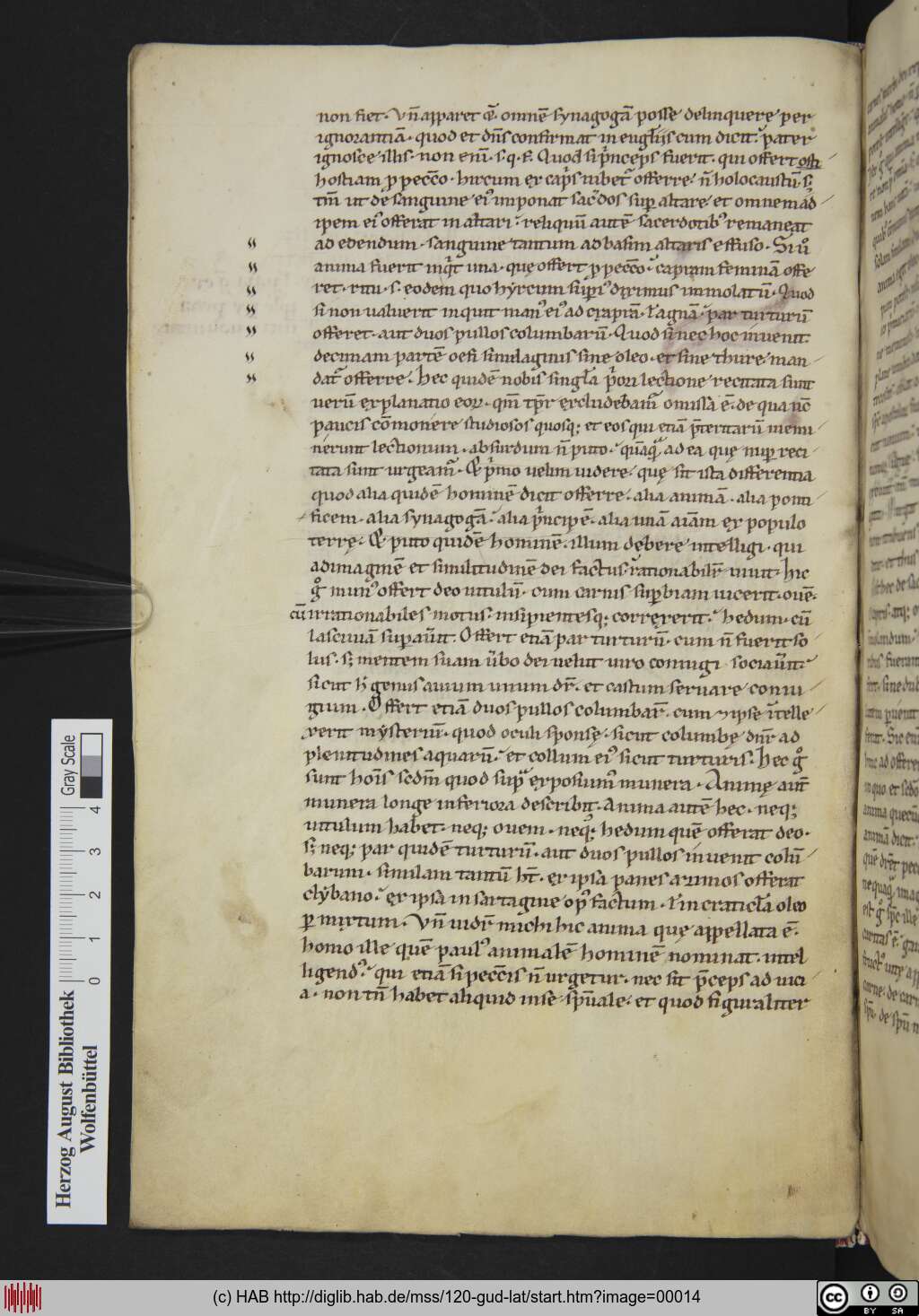 http://diglib.hab.de/mss/120-gud-lat/00014.jpg
