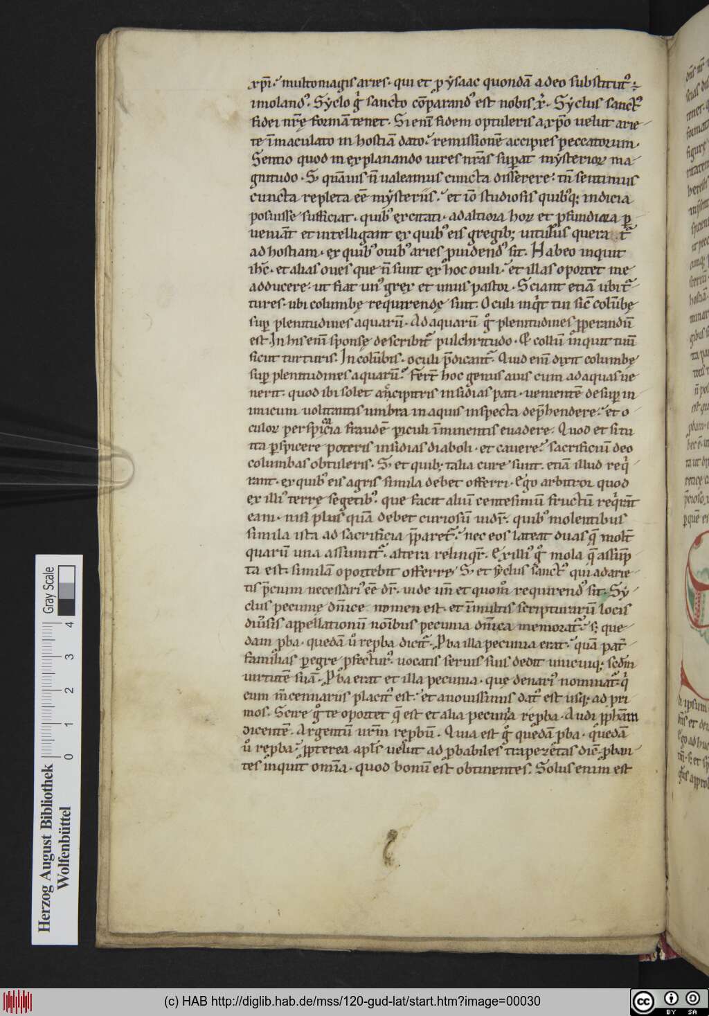 http://diglib.hab.de/mss/120-gud-lat/00030.jpg