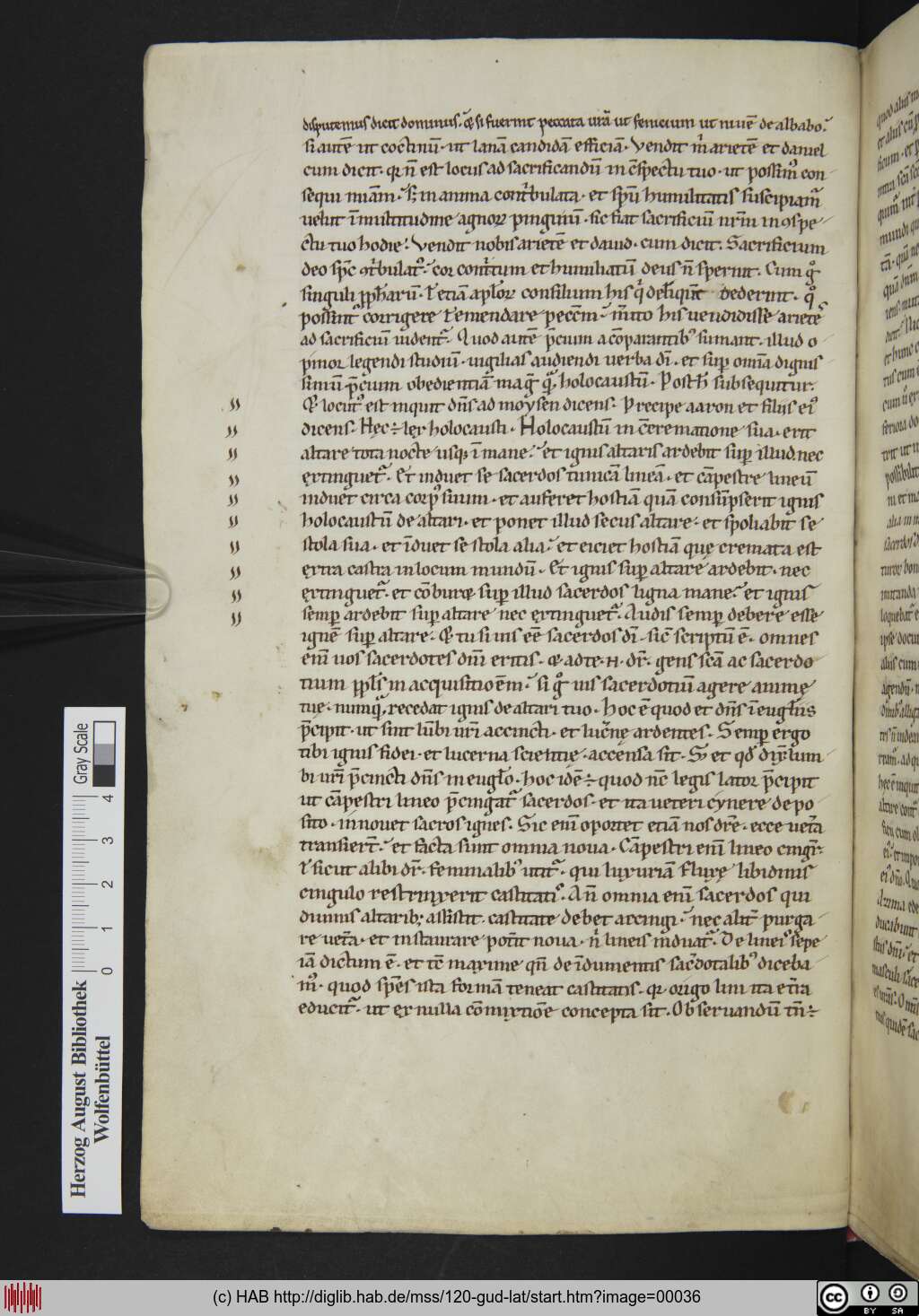 http://diglib.hab.de/mss/120-gud-lat/00036.jpg