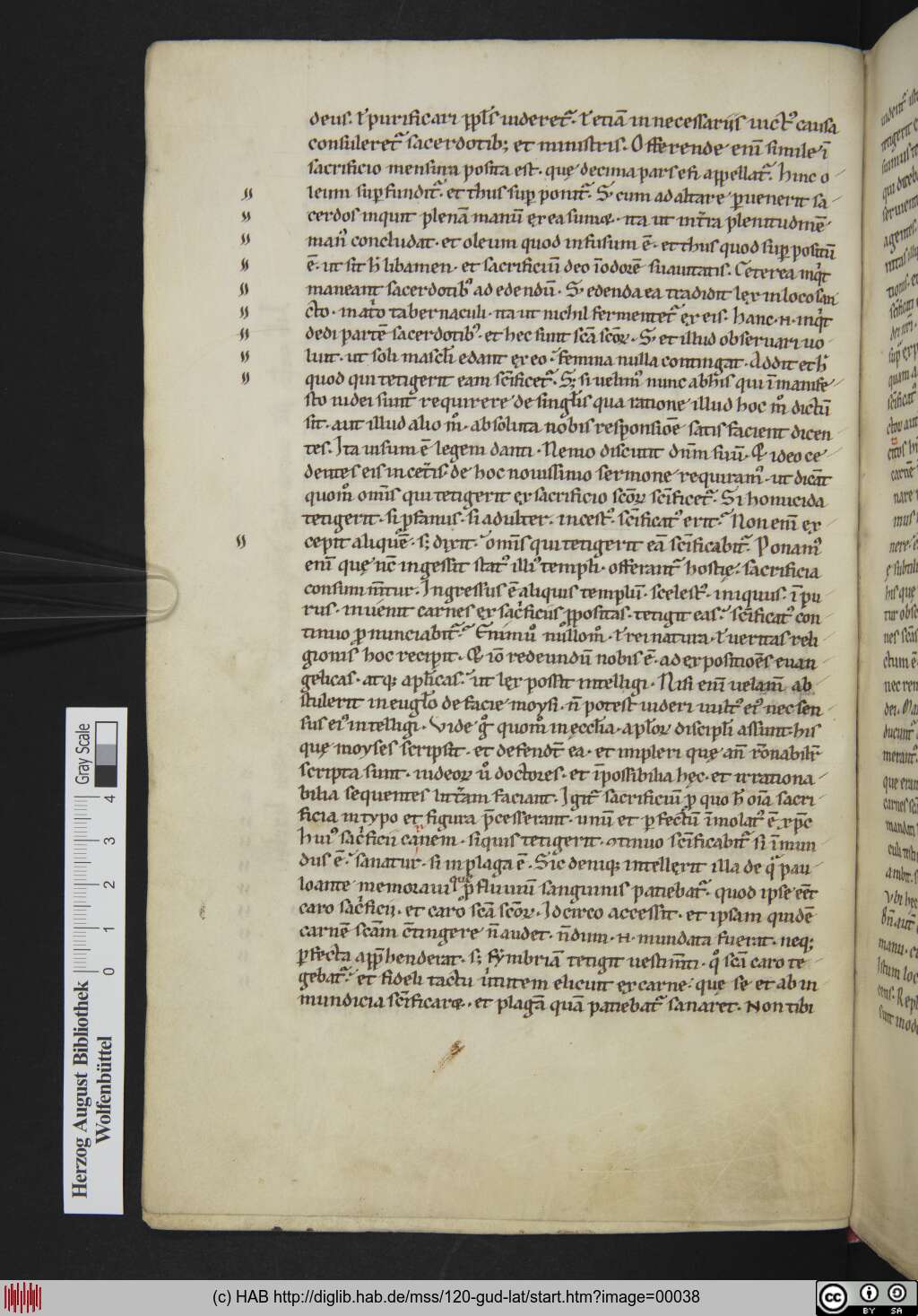 http://diglib.hab.de/mss/120-gud-lat/00038.jpg
