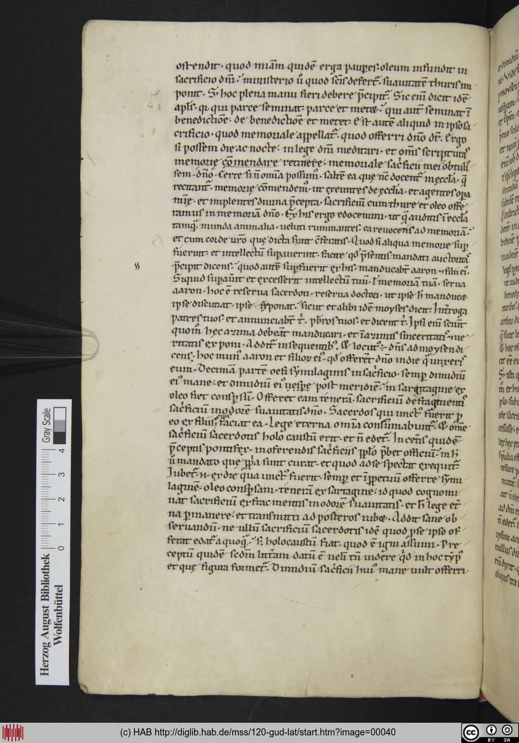 http://diglib.hab.de/mss/120-gud-lat/00040.jpg