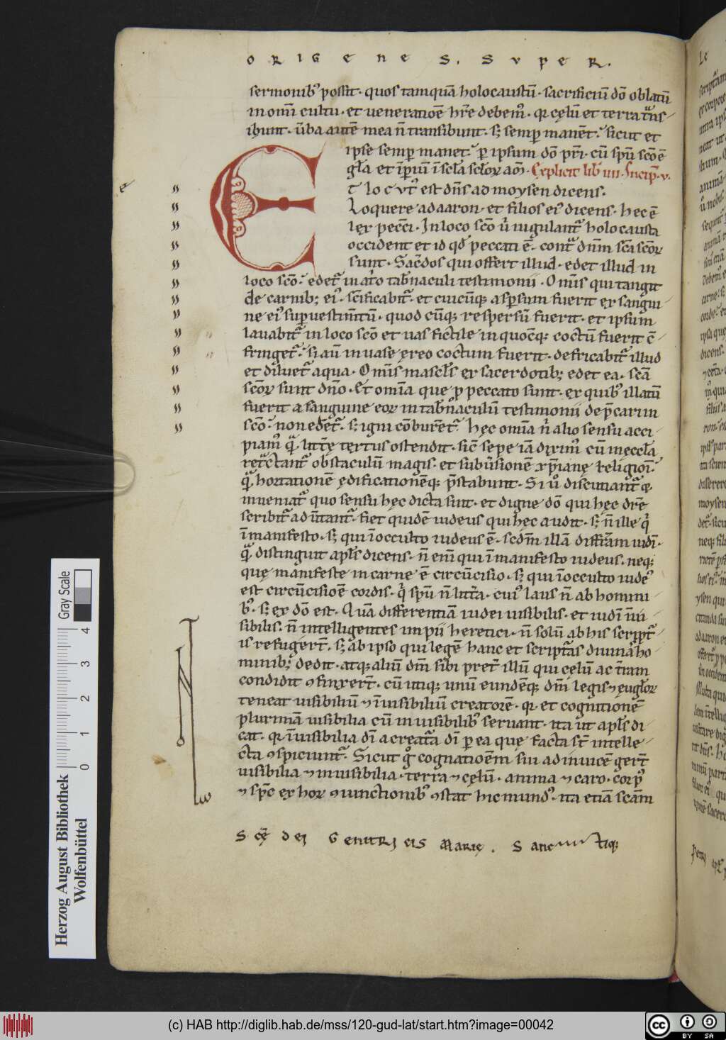 http://diglib.hab.de/mss/120-gud-lat/00042.jpg