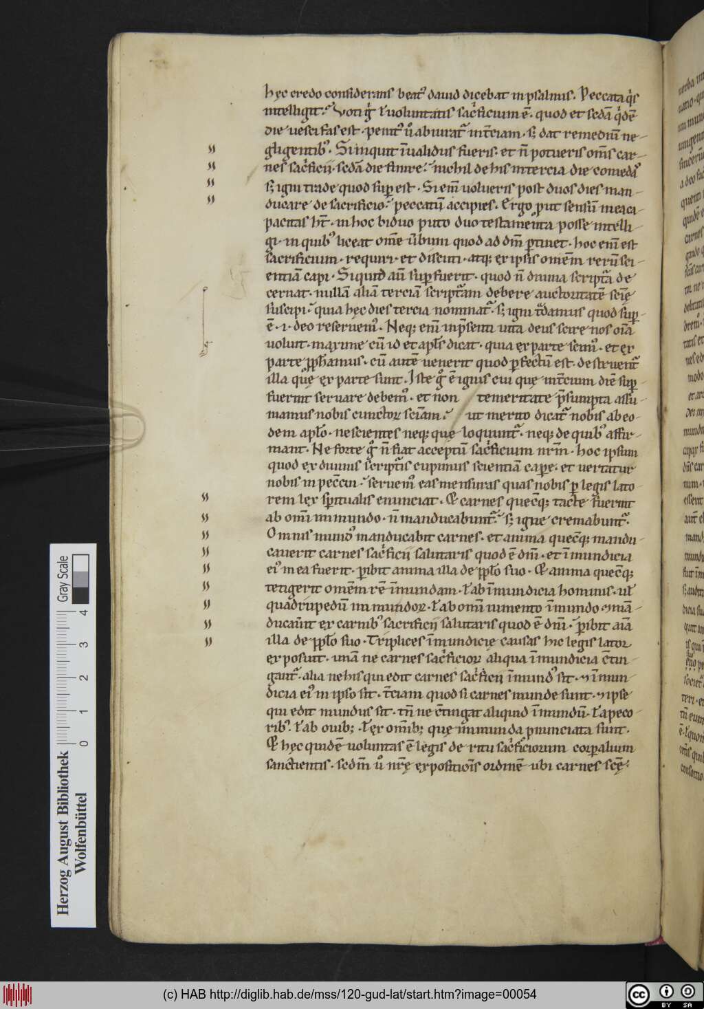 http://diglib.hab.de/mss/120-gud-lat/00054.jpg