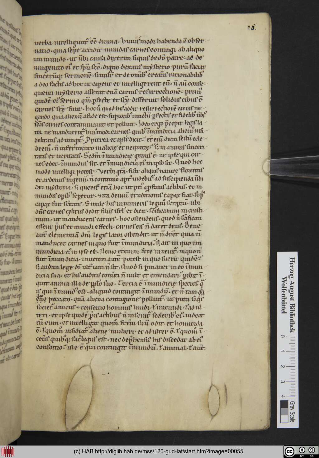 http://diglib.hab.de/mss/120-gud-lat/00055.jpg