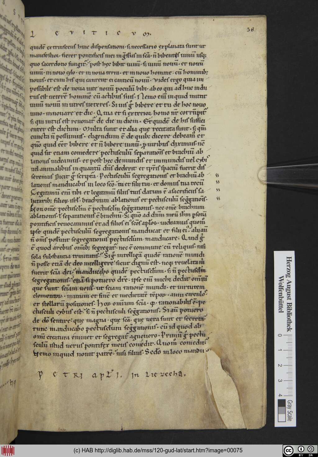 http://diglib.hab.de/mss/120-gud-lat/00075.jpg