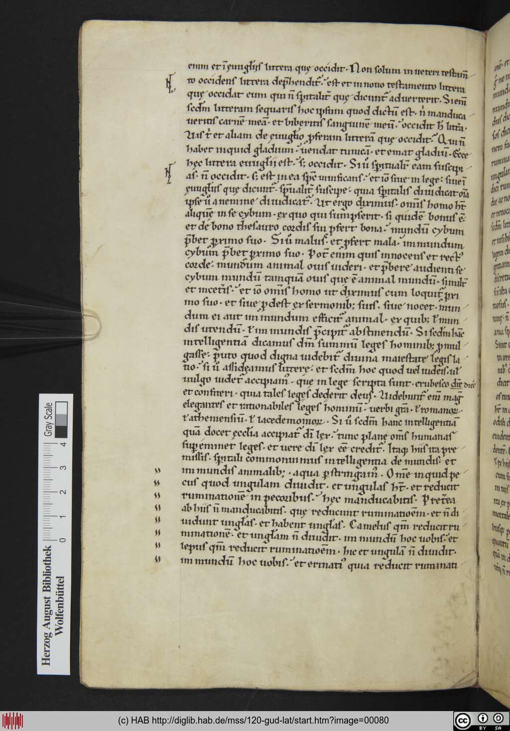 http://diglib.hab.de/mss/120-gud-lat/00080.jpg