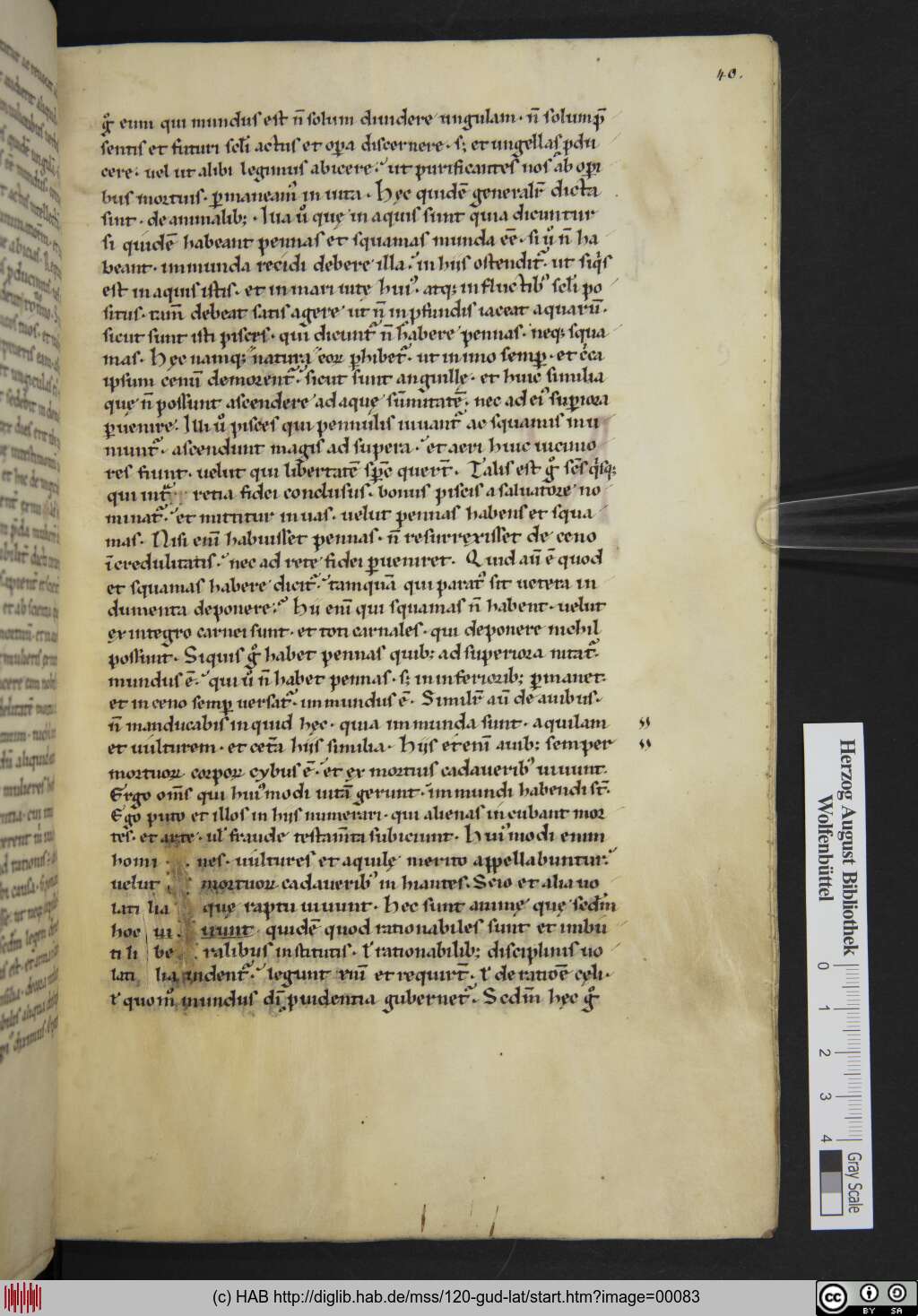 http://diglib.hab.de/mss/120-gud-lat/00083.jpg