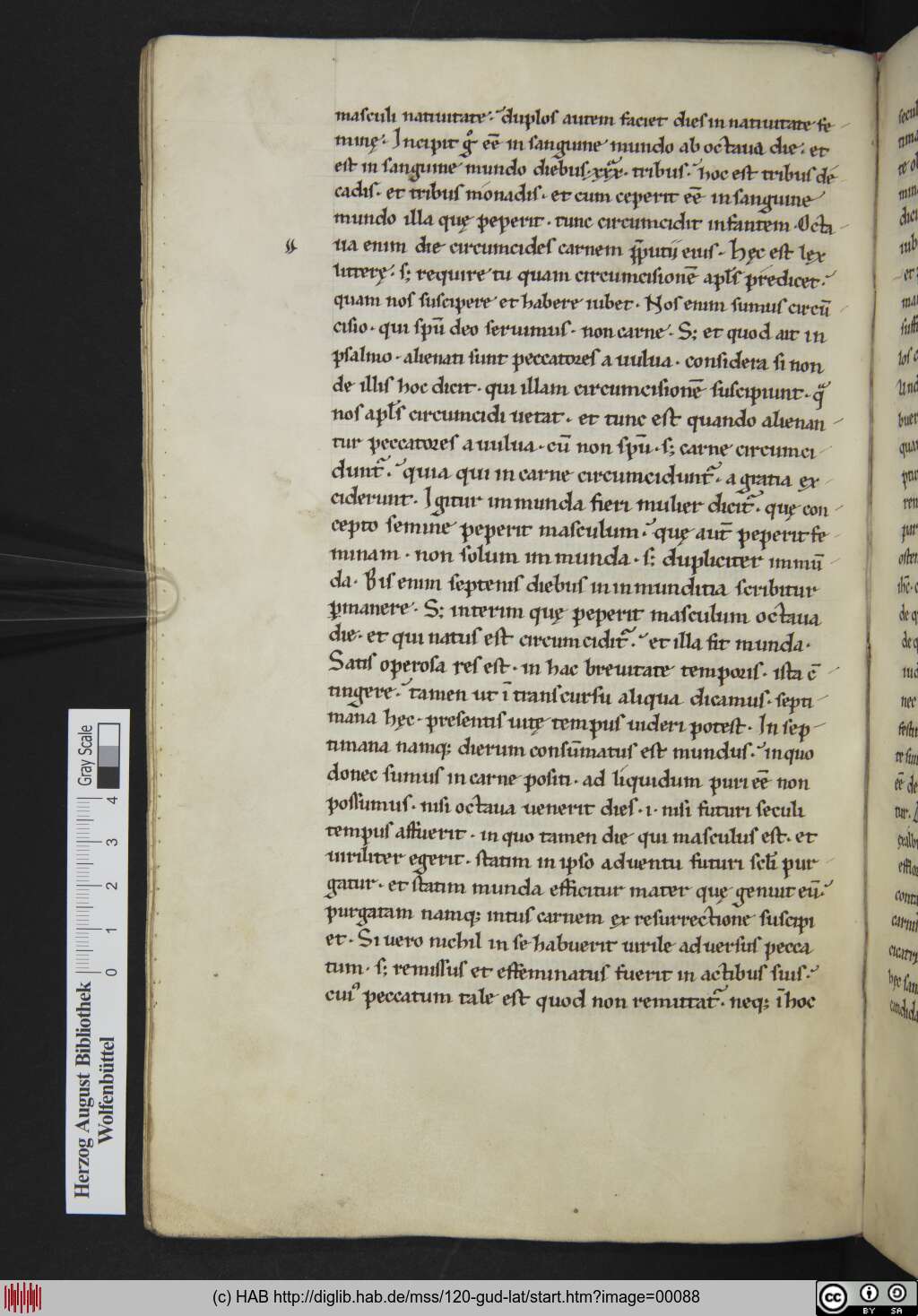 http://diglib.hab.de/mss/120-gud-lat/00088.jpg