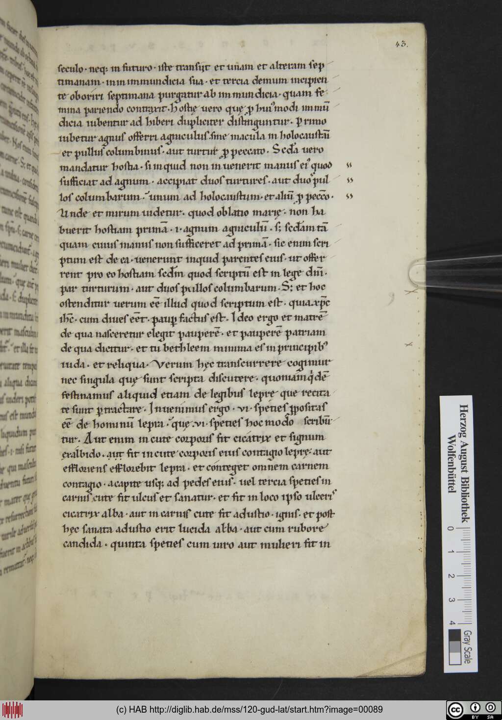 http://diglib.hab.de/mss/120-gud-lat/00089.jpg
